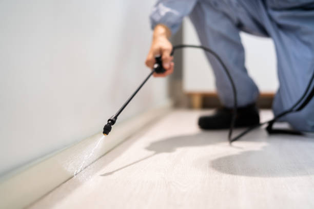 Licensed Rodent Control service in Homosassa Springs, FL - Nex Pest Control