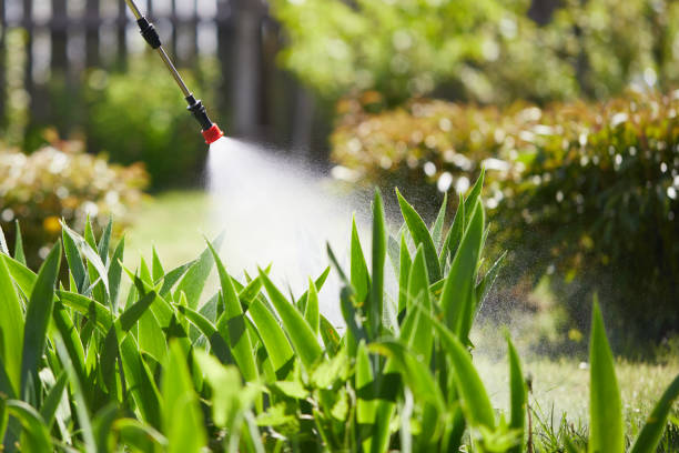 24/7 Emergency Rodent Control experts in Homosassa Springs, FL