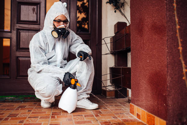 Reliable Rodent Control contractor in Homosassa Springs, FL by Nex Pest Control