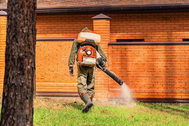 Trusted Ant Control service in Homosassa Springs, FL - Nex Pest Control